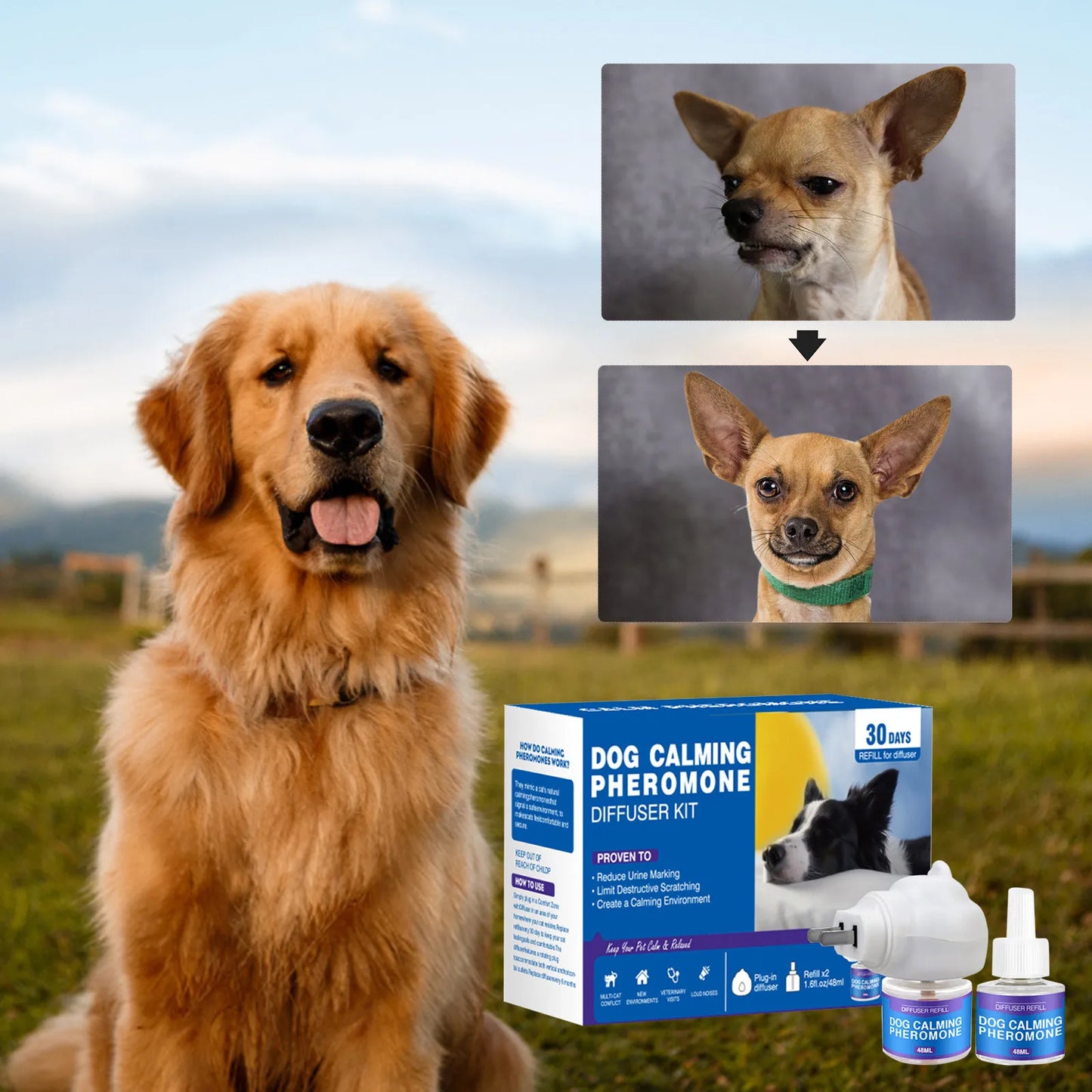 1 Dog Calm Tranquil Paws™ Pet Pheromone Diffuser Kit – Comfort & Calm - Refill 48ml+48ml
