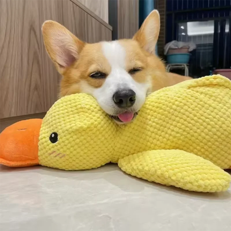 Duck Cuddle Quack – Dog's Boredom-Buster Buddy