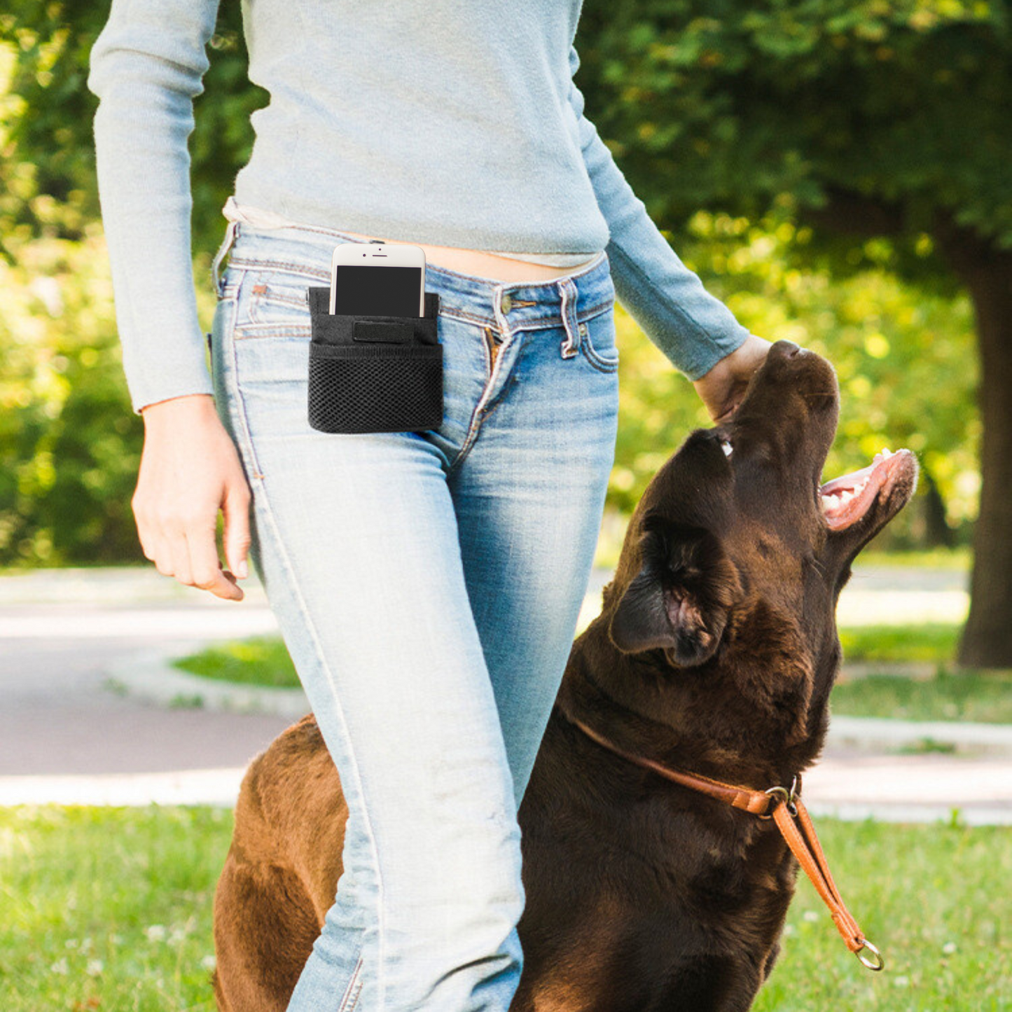 Snack Track – Walking or Training Treat Bag