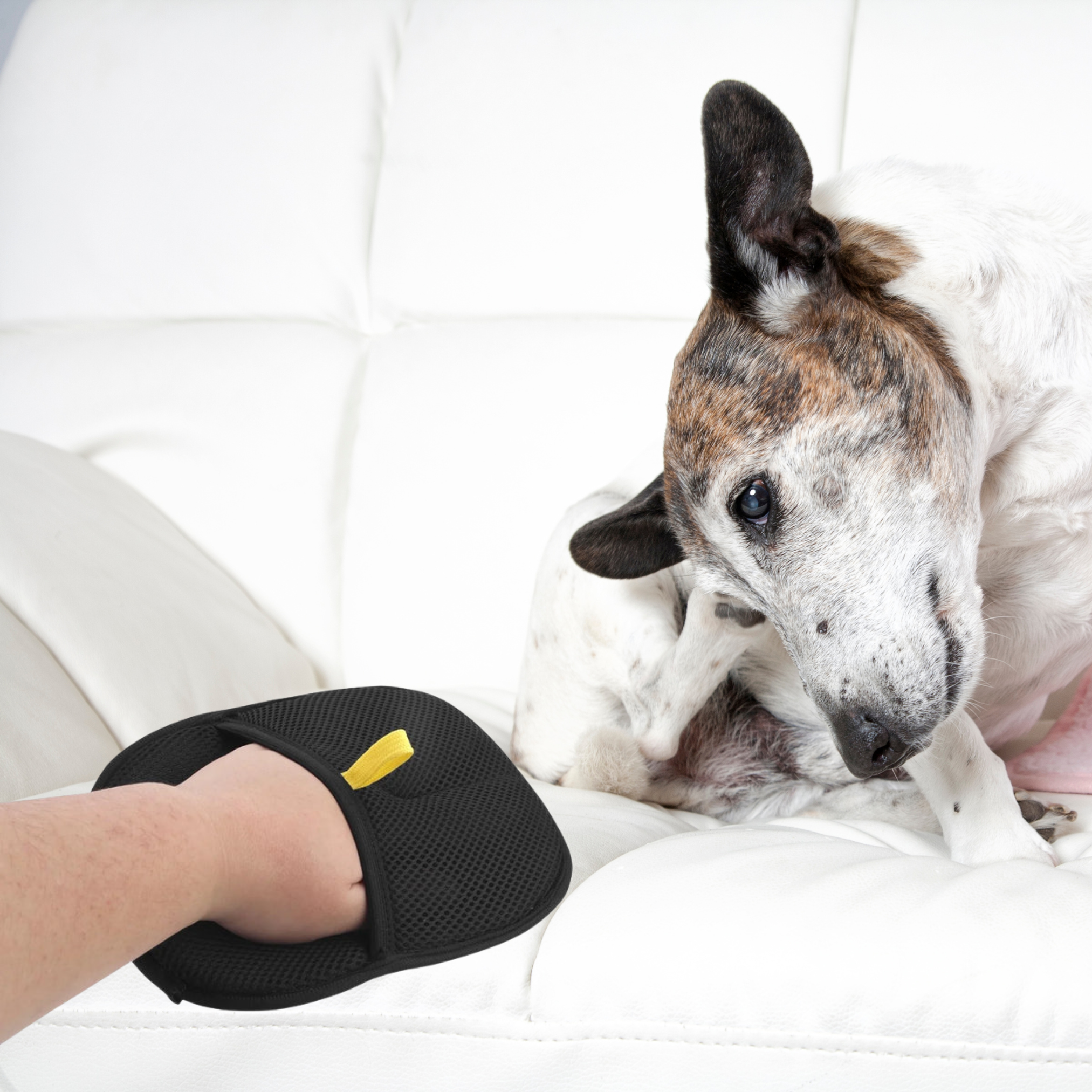 Selected Variant Image