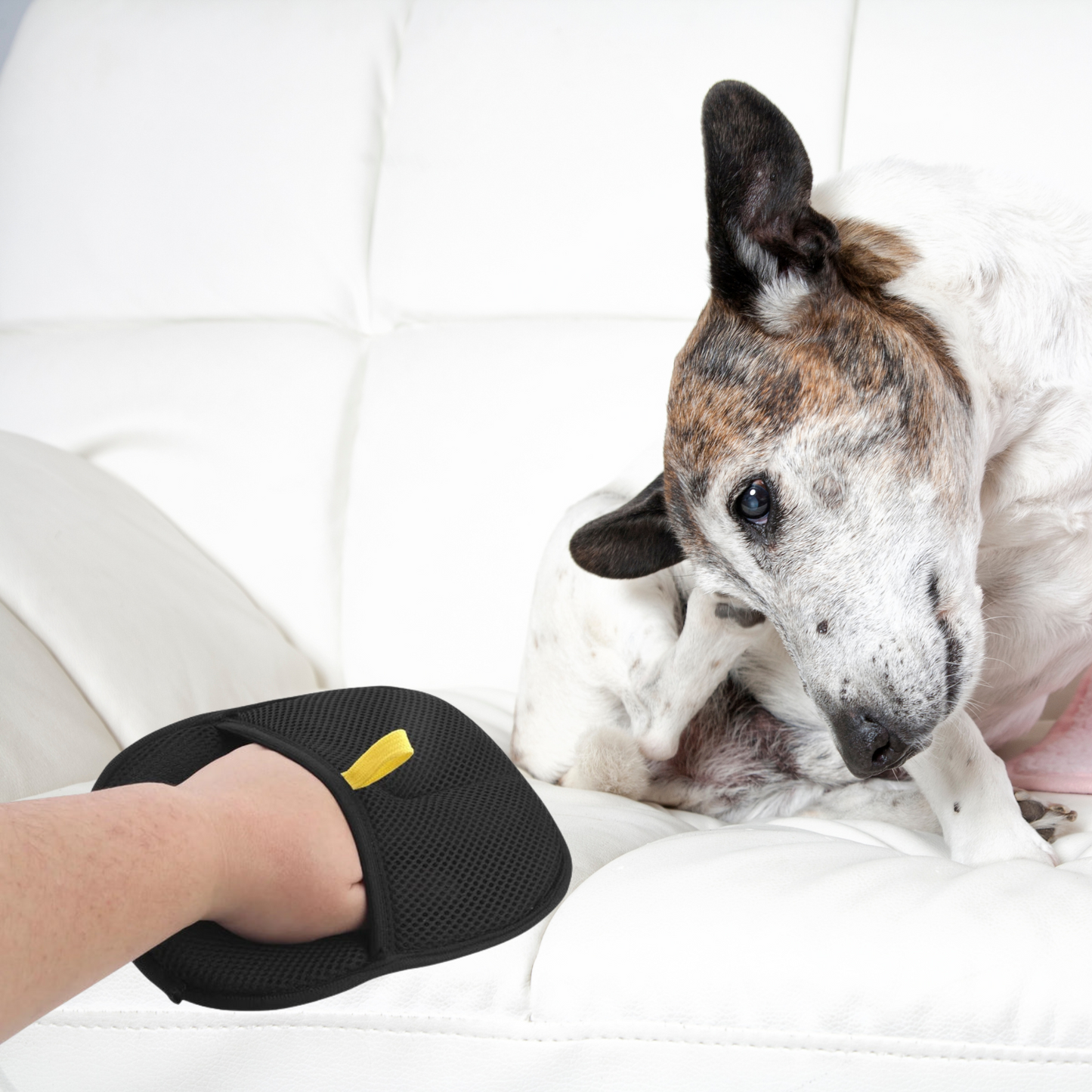 Pet Hair Removal Gloves – Double-Sided Electrostatic Grooming