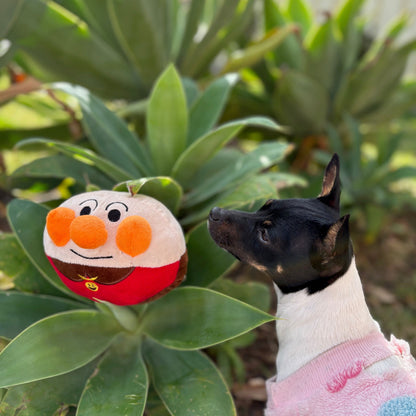 Pup Dog Toy Bounce Interactive Electric