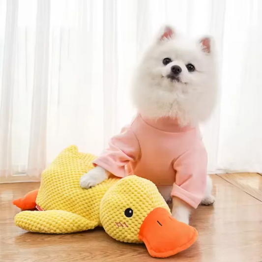 Duck Cuddle Quack – Dog's Boredom-Buster Buddy