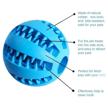 Rubber Ball - Interactive